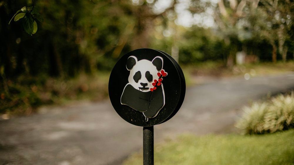Finca Panda