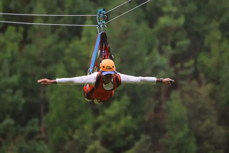 Superman | Vuelo sobre los Árboles